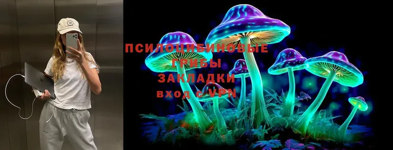 Галлюциногенные грибы Magic Shrooms  Нерюнгри 